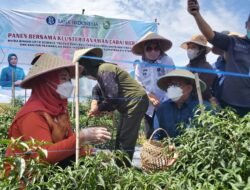 BI Sumsel : Digital Farming Bantu Dorong Produktivitas Tanam