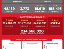 UPDATE Covid-19 Indonesia, 29 Oktober: Tambah 3.141 Kasus Baru, Meninggal 27 Orang