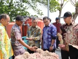 KAD Sumsel dan Jatim Diharapkan Dapat Menstabilkan Harga Komoditas Bawang Merah