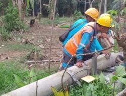 Gerak Cepat PLN Pulihkan Kondisi Kelistrikan Pasca Cuaca Buruk melanda Rantau Bayur Banyuasin