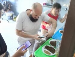 Tertarik dengan Kopi Pagaralam, Buyer Asal Australia Siap Menjadi Suplayer Utama “Beguyur Kopi” Mitra Binaan PLN UID S2JB