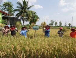 Festival Pangan Lokal Menjadi Wujud Komitmen Kilang Pertamina Plaju Terhadap Pangan Berkelanjutan