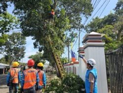 PLN Imbau Waspada Cuaca Buruk, Petugas Siaga Perbaiki Jaringan di Musim Penghujan