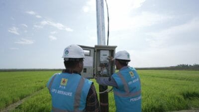Bantu Tranformasi Pertanian Modern, Electrifying Agriculture PLN Raih 53.539 Pelanggan Baru di Tahun 2024
