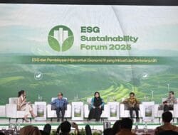 Di Forum ESG, Hashim Apresiasi Peran Aktif Perdagangan Karbon Indonesia, Terbesar dari PLN