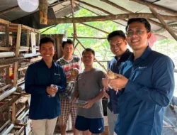 Bukit Asam (PTBA) Dukung Usaha Ternak Puyuh Ciptakan Lapangan Kerja Baru di Desa Seleman