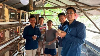 Bukit Asam (PTBA) Dukung Usaha Ternak Puyuh Ciptakan Lapangan Kerja Baru di Desa Seleman