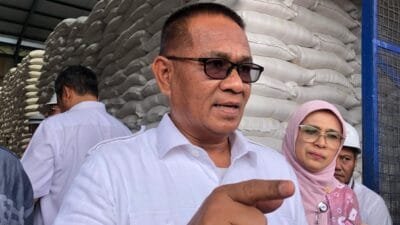 Hingga Maret 2025, Bulog Sumsel Babel Telah Serap 51 Ribu Ton Gabah Kering Panen