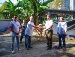 Rayakan Iduladha 1446H, PLN Salurkan Daging Kurban di Berbagai Daerah