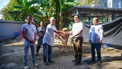 Rayakan Iduladha 1446H, PLN Salurkan Daging Kurban di Berbagai Daerah