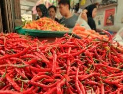 Sumatera Selatan Catat Deflasi pada Mei 2025 Sebesar 0,35%