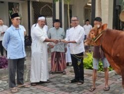 PGN Group Bagikan 955 Hewan untuk Masyarakat