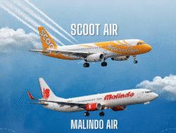 Scoot Air dan Malindo Air Lirik Rute Penerbangan ke Palembang