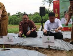 Dorong Kemandirian Pangan Sumsel, BI Gelar GSMP 2025 dari Desa, Panti, hingga Kantor