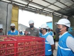 Semarak Kemerdekaan, PLN UP3 Jambi Energize Electrifying Agriculture 1.730 kVA untuk PT Agro Bumi Sumatera