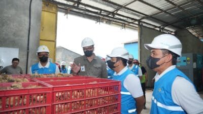 Semarak Kemerdekaan, PLN UP3 Jambi Energize Electrifying Agriculture 1.730 kVA untuk PT Agro Bumi Sumatera