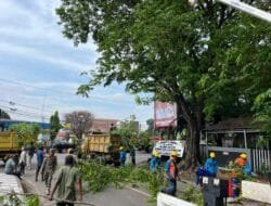 PLN ULP Muara Enim Tingkatkan Keandalan Listrik melalui Program Right of Way Sinergitas dengan Dinas Perkimtan Muara Enim