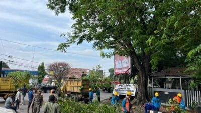 PLN ULP Muara Enim Tingkatkan Keandalan Listrik melalui Program Right of Way Sinergitas dengan Dinas Perkimtan Muara Enim