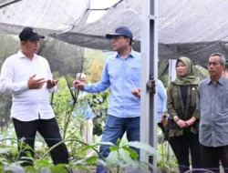 OJK dan Pemkot Pagar Alam Branding Kopi Raden Kuning: Mengangkat Warisan Arabika Yellow Bourbon