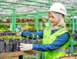 PTBA Mewujudkan Transformasi Hijau di Sektor Pertambangan