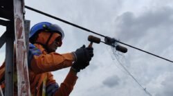 Jaga Keandalan Transmisi Jelang Hari Sumpah Pemuda, PLN UPT Palembang Bersihkan Benda Asing di Jaringan 70 kV Seduduk Putih–Boom Baru