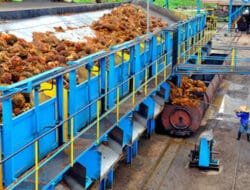 Revolusi Energi Bersih! PGN Bangun Injection Point Dukung Biomethane dari Limbah CPO di Sumsel