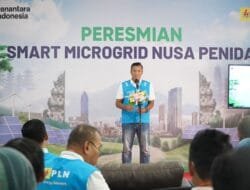 PLN Operasikan Smart Microgrid Berbasis Energi Hijau di Nusa Penida Bali