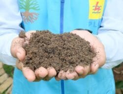 Langkah Maju PLN: FABA Kini Jadi Standar Nasional untuk Mendukung Sektor Pertanian Berkelanjutan.