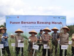 Panen Raya Bawang Merah di Pagar Alam: Wujud Nyata Sinergi Bank Indonesia dan Pemerintah Kota dalam Mendukung Ketahanan Pangan