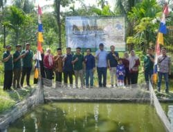 Program Pemulihan Lingkungan Berbuah Manis: Budidaya Ikan Nila di Eks-PETI Tanjung Agung Resmi Panen Perdana