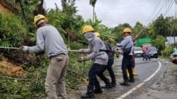 Gubernur Sumbar Apresiasi Kerja PLN Pulihkan Listrik Pascabencana