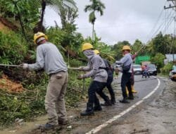 Gubernur Sumbar Apresiasi Kerja PLN Pulihkan Listrik Pascabencana