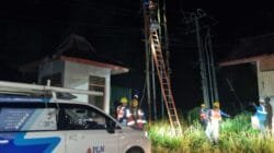 Respons Cepat PLN Atasi Gangguan Kubikel dan Kabel Tanah, Listrik Musi Rawas Berangsur Pulih
