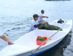 Sepanjang 2025, TJSL PLN Peduli Jangkau Lebih dari 700 Ribu Penerima Manfaat di Seluruh Indonesia