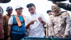 PLN Perkuat Infrastruktur Kelistrikan Sentra Udang OKI, Listrik Andal Jadi Motor Produktivitas dan Ekonomi Daerah