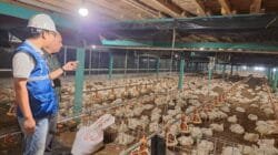 Pemerintah Putuskan Tarif Listrik Triwulan II 2026 Tidak Naik, PLN Siap Jaga Keandalan dan Kualitas Layanan di Tengah Dinamika Global