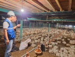 Pemerintah Putuskan Tarif Listrik Triwulan II 2026 Tidak Naik, PLN Siap Jaga Keandalan dan Kualitas Layanan di Tengah Dinamika Global