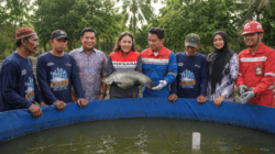 Upaya Pertamina Patra Niaga Kilang Plaju Jaga Warisan Sungai Musi Lewat Belida Musi Lestari