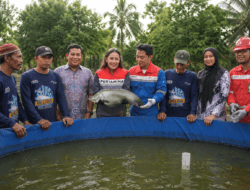 Upaya Pertamina Patra Niaga Kilang Plaju Jaga Warisan Sungai Musi Lewat Belida Musi Lestari