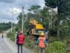 Jelang Idul Adha, PLN dan DLH Tanjab Barat Percepat Pembangunan Jaringan Listrik demi Keandalan Pasokan Masyarakat