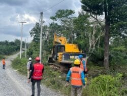 Jelang Idul Adha, PLN dan DLH Tanjab Barat Percepat Pembangunan Jaringan Listrik demi Keandalan Pasokan Masyarakat