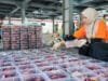 PLN UID S2JB Salurkan Daging Kurban untuk Masyarakat, Wujud Kepedulian Sosial di Idul Adha 1447 H