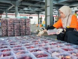 PLN UID S2JB Salurkan Daging Kurban untuk Masyarakat, Wujud Kepedulian Sosial di Idul Adha 1447 H