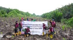 Perkuat Komitmen ESG, Pertamina Patra Niaga Kilang Plaju bersama Project R&P Sumatera Tanam 7.500 Bibit Pelestarian Mangrove