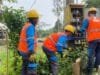 Pemeliharaan Gardu Distribusi Diperkuat, PLN Standarisasi Pengaman Gardu untuk Jaga Keandalan Listrik di Empat Lawang