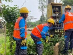 Pemeliharaan Gardu Distribusi Diperkuat, PLN Standarisasi Pengaman Gardu untuk Jaga Keandalan Listrik di Empat Lawang