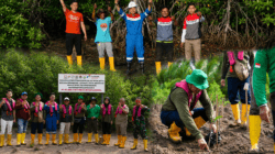 Peringati Hari Mangrove Sedunia, Kilang Plaju Tegaskan Komitmen Jangka Panjang Lestarikan Ekosistem Pesisir