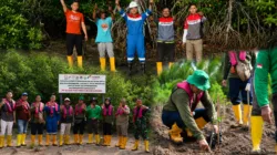 Peringati Hari Mangrove Sedunia, Kilang Plaju Tegaskan Komitmen Jangka Panjang Lestarikan Ekosistem Pesisir