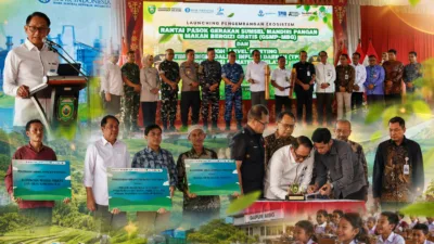 Petani hingga Dapur MBG Terhubung, Pemprov Sumsel, Bank Indonesia dan DJPb Bangun Ekosistem Pangan Terintegrasi