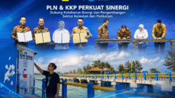 PLN dan KKP Perkuat Sinergi, Dukung Ketahanan Energi dan Sektor Kelautan